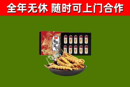 向阳区回收冬虫夏草价格